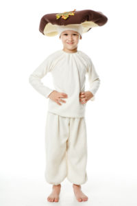 костюм грибочка для хлопчика в ужгородському прокаті костюмів